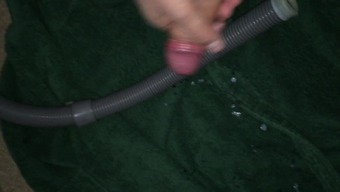 Penis - Prick touching along with a hoover more clean with semen captured -  BadWap